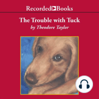 The Trouble with Tuck