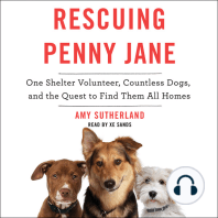 Rescuing Penny Jane