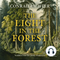 The Light in the Forest