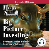 Big Picture Investing