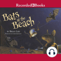 Bats at the Beach