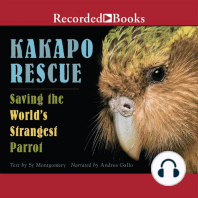 Kakapo Rescue