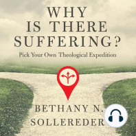 Why Is There Suffering?