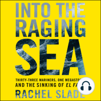 Into the Raging Sea: Thirty-Three Mariners, One Megastorm, and the Sinking of the El Faro