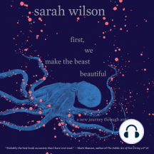 First, We Make the Beast Beautiful: A New Journey Through Anxiety