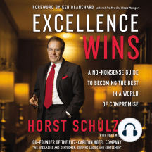Excellence Wins: A No-Nonsense Guide to Becoming the Best in a World of Compromise