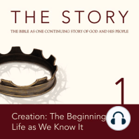 The Story Audio Bible - New International Version, NIV