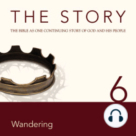 The Story Audio Bible - New International Version, NIV