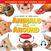 Animals All Around