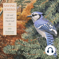 Saving Jemima