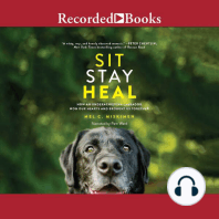 Sit Stay Heal