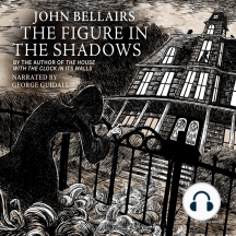 The Figure in the Shadows