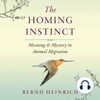 The Homing Instinct