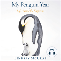 My Penguin Year