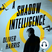 A Shadow Intelligence