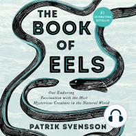 The Book of Eels