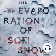 The Evaporation of Sofi Snow