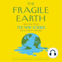 The Fragile Earth