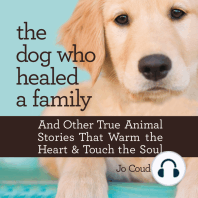 The Dog Who Healed a Family