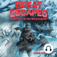 Great Escapes #4