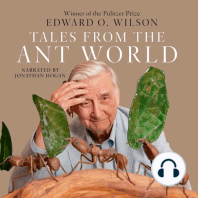 Tales from the Ant World