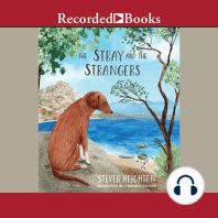 The Stray and the Strangers