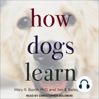 How Dogs Learn