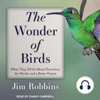 The Wonder of Birds