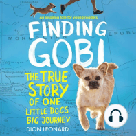 Finding Gobi