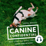 Canine Confidential