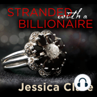 Stranded with a Billionaire
