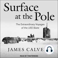 Surface at the Pole