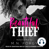 Beautiful Thief