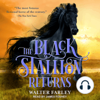 The Black Stallion Returns