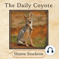 The Daily Coyote