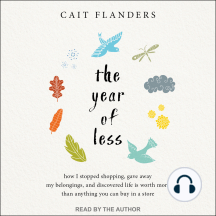 The Year of Less: How I Stopped Shopping, Gave Away My Belongings, and Discovered Life Is Worth More Than Anything You Can Buy in a Store
