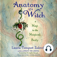 Anatomy of a Witch