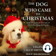 The Dog Who Came to Christmas