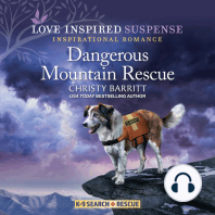 Dangerous Mountain Rescue