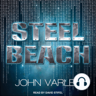 Steel Beach