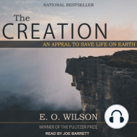 The Creation