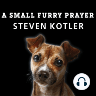 A Small Furry Prayer: Dog Rescue and the Meaning of Life