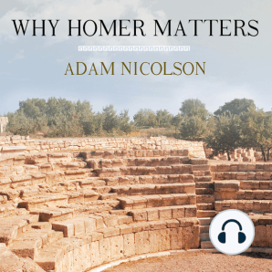Why Homer Matters