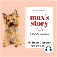 Max's Story