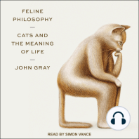 Feline Philosophy