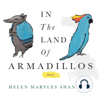 In the Land of Armadillos