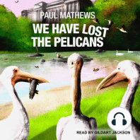 We Have Lost The Pelicans