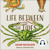 Life Between the Tides