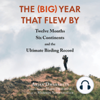 The (Big) Year That Flew By