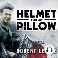 Helmet for My Pillow